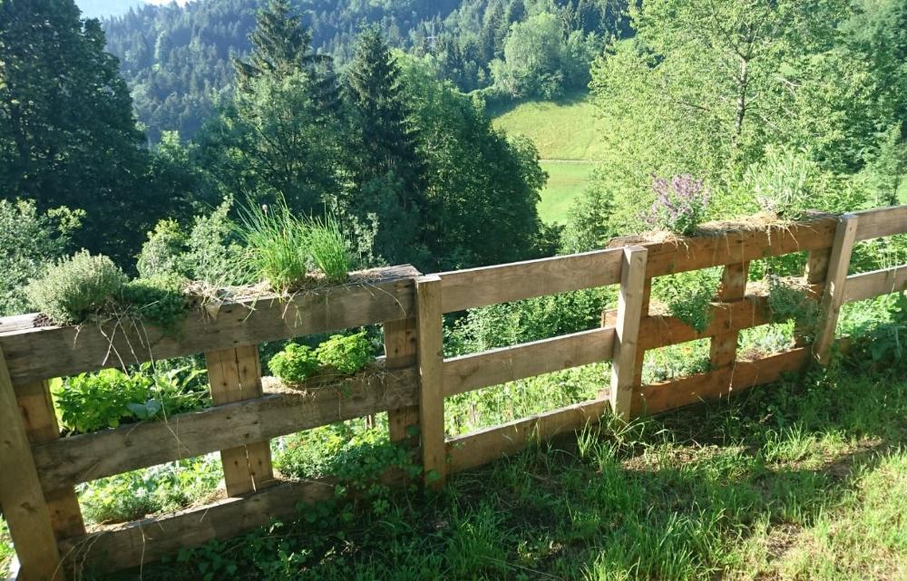 Einfacher Bienengarten mit Paletten