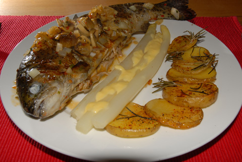 Forelle an einer Honig-Weisswein Marinade